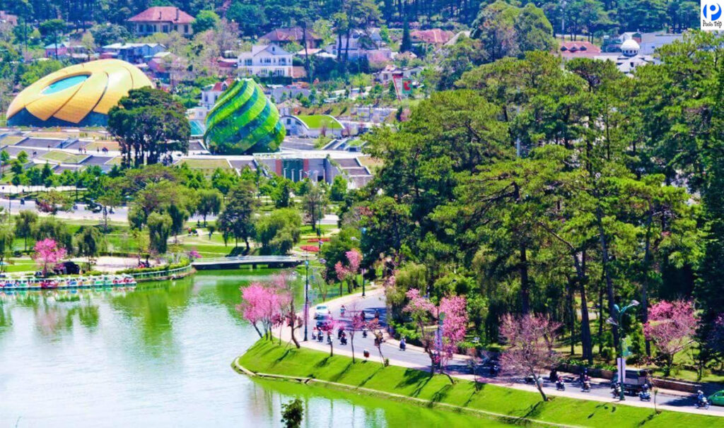 Thợ Chụp Ảnh Chuyên Nghiệp Tại Đà Lạt Giá Rẻ
