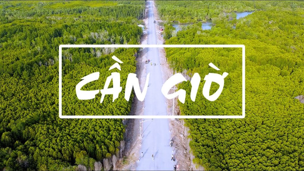 Dịch Vụ Bay Flycam Chuyên Nghiệp Tại Cần Giờ